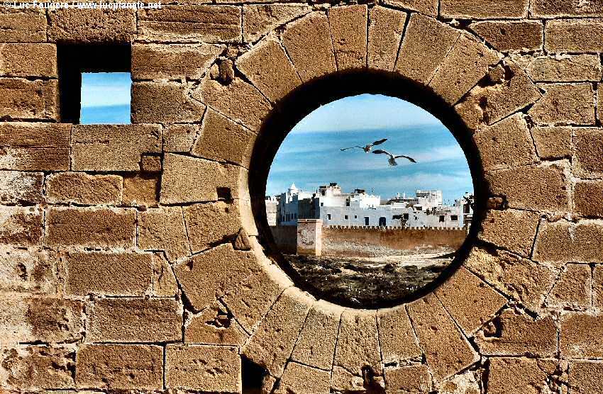 Blog Essaouira: Excursion d'une journée