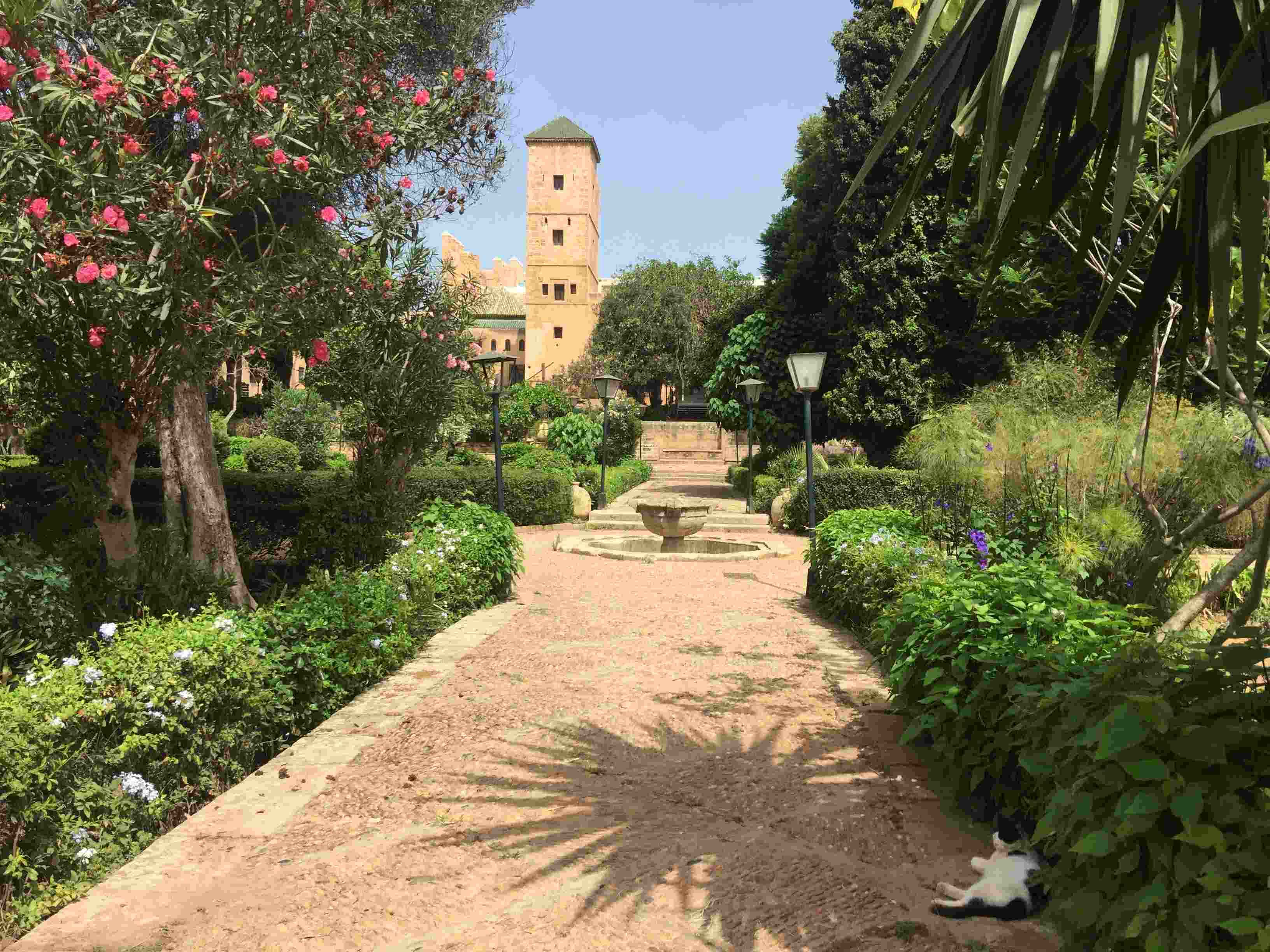 Blog Andalusian Garden